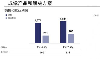 企業(yè)財務(wù)報告與互聯(lián)網(wǎng)數(shù)據(jù)中心 199it軟件外包服務(wù)的發(fā)展趨勢