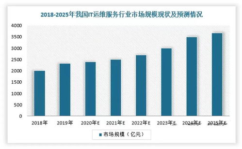 2024年中國IT服務行業研究報告 軟件外包服務的演進、挑戰與機遇