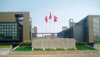 中國軟件主力調虎離山，軟件外包服務后市或將這樣走